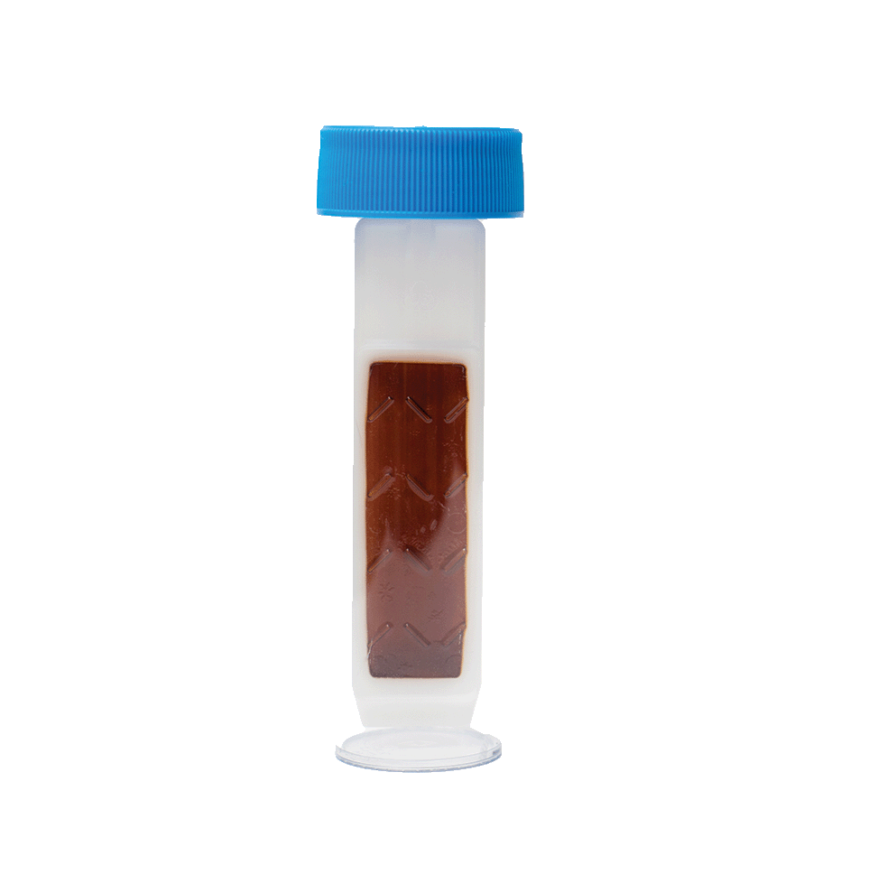 Fuel Bacteria Test